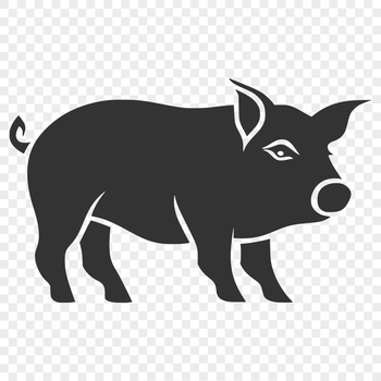 A full-body illustration of a standing pig, suitable for clip art and vector design.