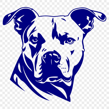 A portrait illustration of a pitbull's head, suitable as vector art for personal or commercial projects.