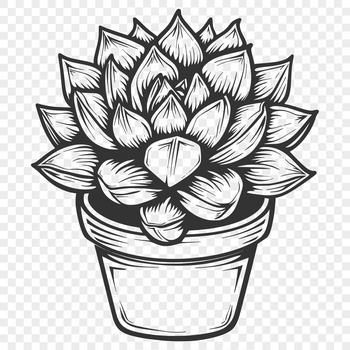 An intricately designed vector image of a desert succulent with detailed foliage.