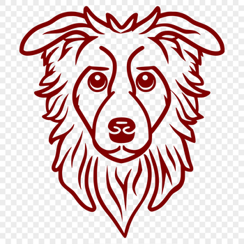 A simple line drawing of a dog's head with distinct features typical of the Australian Shepherd breed.