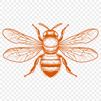 A colorful illustration of a full-body bee in vector art format.