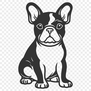 A full-body illustration of a French Bulldog sitting on its haunches.