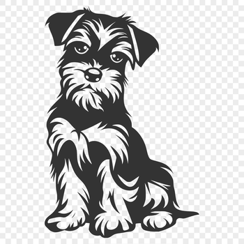 A high-quality vector illustration of a full-body miniature schnauzer sitting upright.