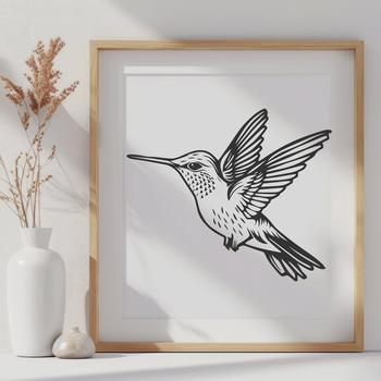 A detailed illustration of a hummingbird in mid-flight, highlighting its full body structure.