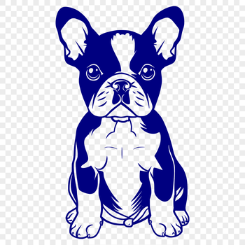 A detailed vector illustration of a sitting Boston Terrier from head to paw.