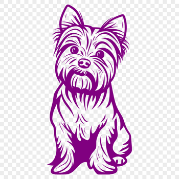 Free Sitting Yorkshire Terrier Vector Illustration