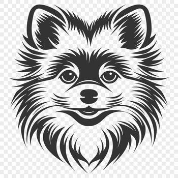 Close-up illustration of a Pomeranian's head with detailed fur texture.