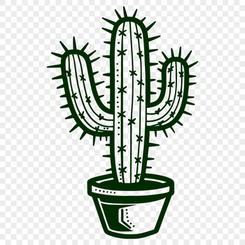 A succulent desert plant with sharp spines and waxy stems.