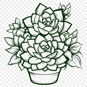 A vector graphic representation of a desert-dwelling succulent, suitable for use in gardening or floral designs.