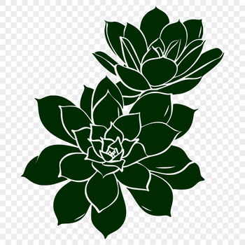 A vector graphic representation of a desert-dwelling succulent plant in floral style.
