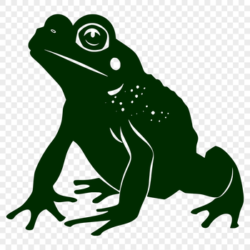 A detailed illustration of a toad from head to tail, suitable for use in various graphic design projects.