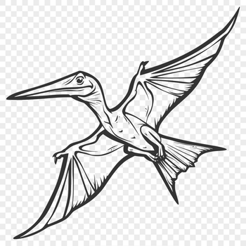 Free Artistic Pteranodon Design