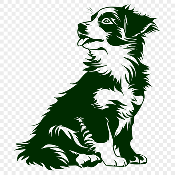 Illustrated Australian Shepherd dog breed, depicted in full body pose.