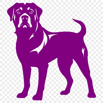 A full-body illustration of a standing Rottweiler dog.