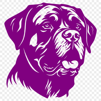 A vector illustration of a Rottweiler's head with detailed facial features.