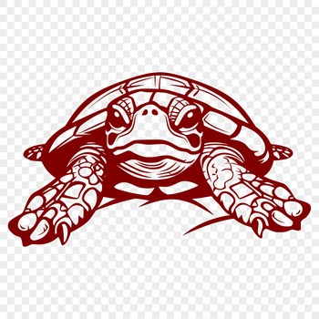 A detailed illustration of a sea turtle's full body from the front.