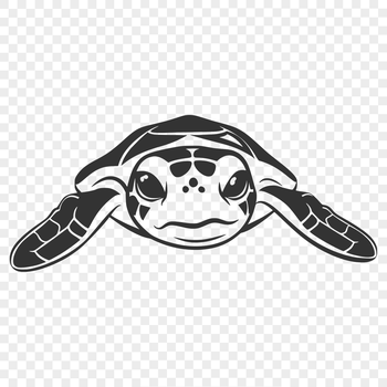A full-body illustration of a sea turtle, suitable for vector art designs and clipart.