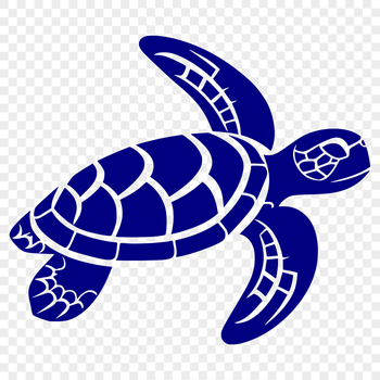 A realistic illustration of a sea turtle's full body, showcasing its shell and flippers.