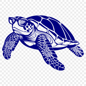 Creative Sea Turtle - For Animal Project