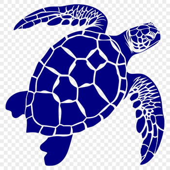 A detailed illustration of a sea turtle in its full body form, suitable for various design projects.