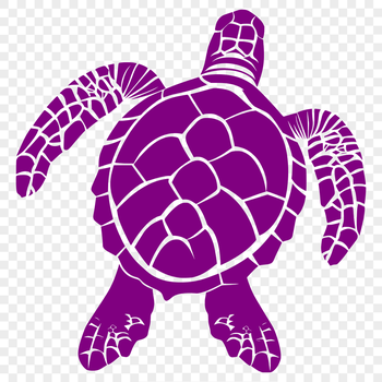 A realistic illustration of a sea turtle in full body view.