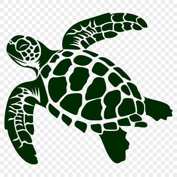 A full-body illustration of a sea turtle in various poses and orientations, suitable for use as clip art.