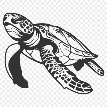 An SVG rendering of a sea creature that swims through the ocean waters, available as a reusable clip art image.