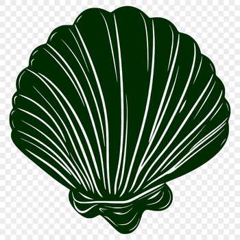 A stylized illustration of a seashell in vector format, suitable for use as clip art or template.