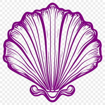 A detailed illustration of a seashell in vector format, suitable for design projects.