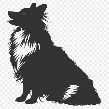 Illustration of a Shetland sheepdog sitting upright with its fur and features detailed.