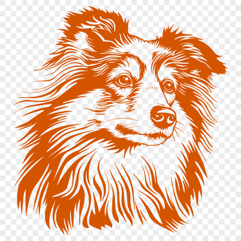 Portrait illustration of a Shetland Sheepdog dog breed with detailed head features.