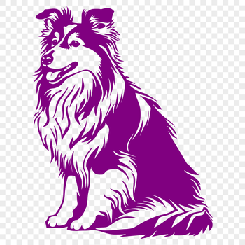 A detailed illustration of a Shetland sheepdog sitting in a full body pose, suitable for vector design.