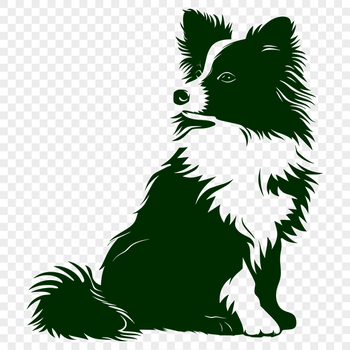 Unique Shetland Sheepdog PNG