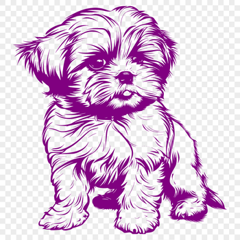 Full-body illustration of a sitting Shih Tzu dog.