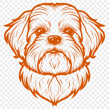 A vector illustration of a Shih Tzu dog breed with distinctive head features.