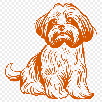 A portrait of a sitting Shih Tzu dog with its fur visible from head to paw.