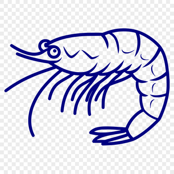 Free Unique Shrimp Digital Drawing