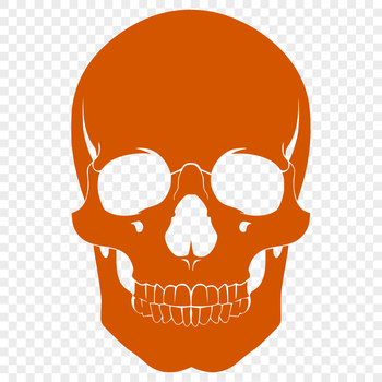 A simple black silhouette of a skull, suitable for vector designs and Halloween-themed projects.