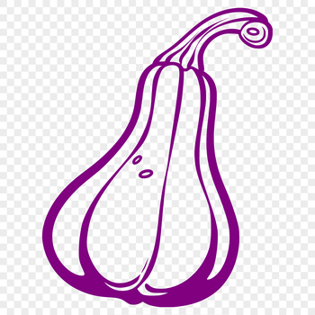 Illustration of a squash fruit with intricate details for vector design projects.