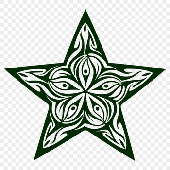 A stylized vector star graphic, suitable for digital and printing applications.