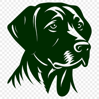 Labrador Retriever dog breed vector illustration featuring the animal's head.