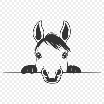A horse peeking through a fence with a scenic background.