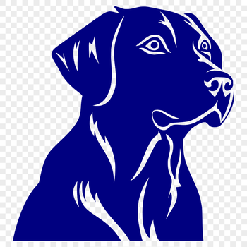 A close-up illustration of a Labrador Retriever's head, depicted in vector format.