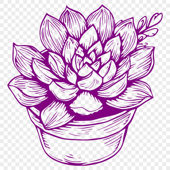 Vector illustration of a succulent plant, ideal for gardening and floral design projects.