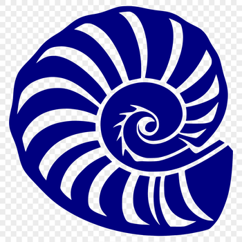 A detailed illustration of a seashell, suitable for cutting out with a craft machine or laser cutter.