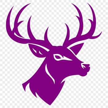 A detailed illustration of a deer's head, suitable for vector art design.