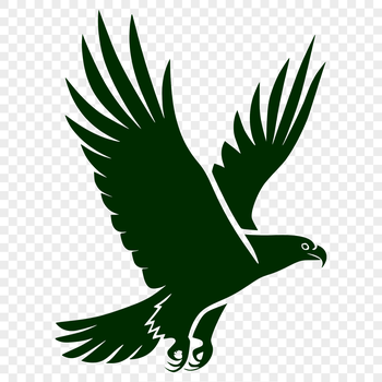 A full-body illustration of a majestic bird in flight, featuring detailed plumage and feathers.