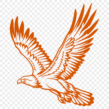 Vector illustration of an eagle in mid-flight, depicted from head to tail.