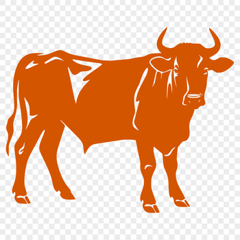 A high-quality illustration of a cow in full body pose, suitable for graphic design projects.