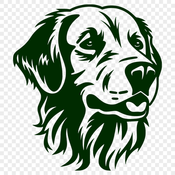 A Golden Retriever's head is depicted in this detailed vector illustration.